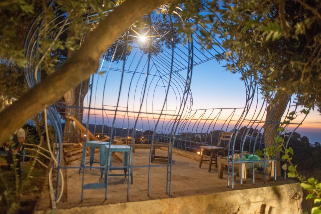 Мини-отель Beit Oren Hotel 2*